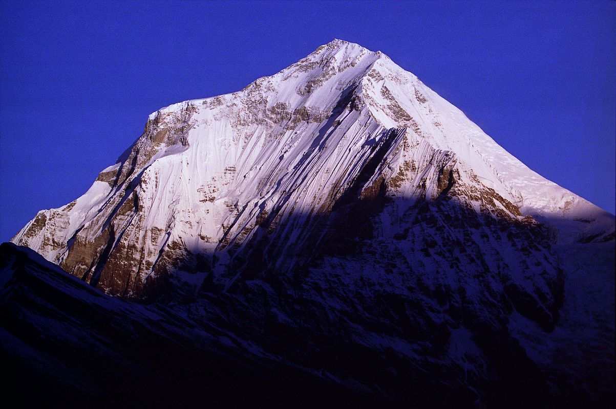 203 Dhaulagiri Sunrise From Shepherds Kharka